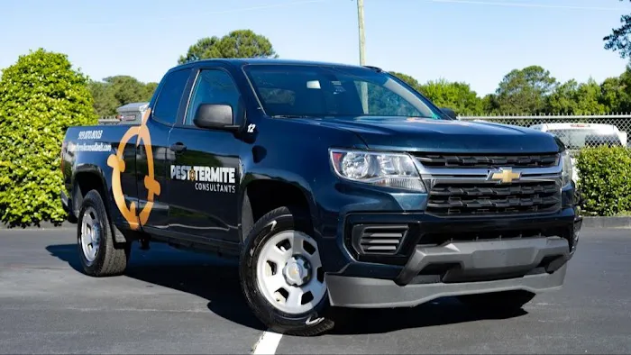 Pest & Termite Consultants Picture 1