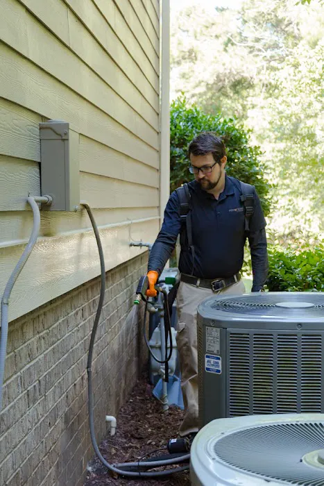 Pest & Termite Consultants Picture 3
