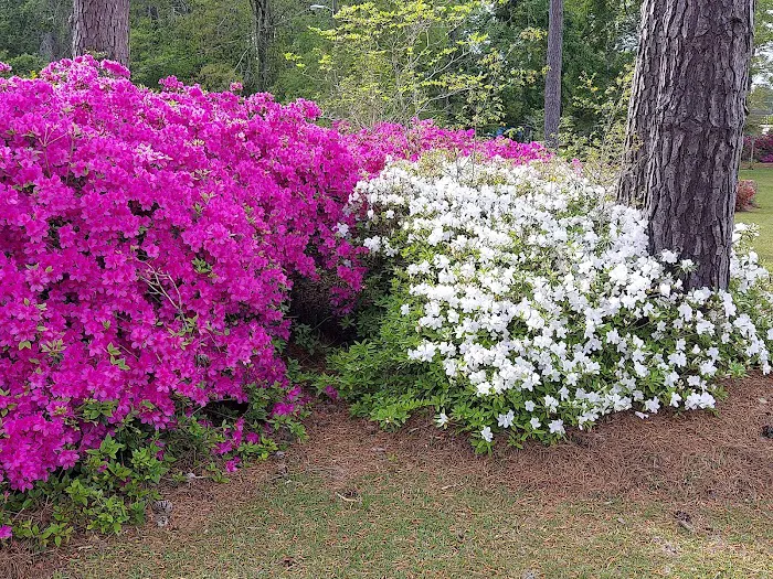 McDuffie Pest Control Picture 4