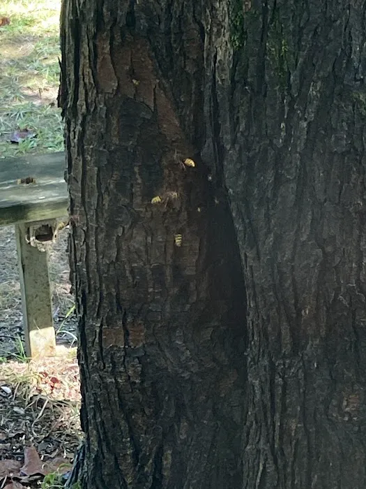 Isenhour Pest Control Picture 1