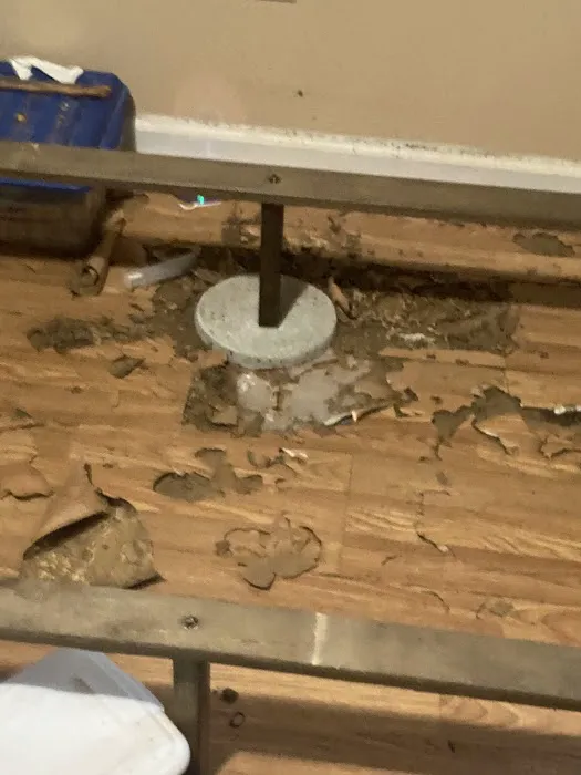 Bug Guys, LLC. Picture 5