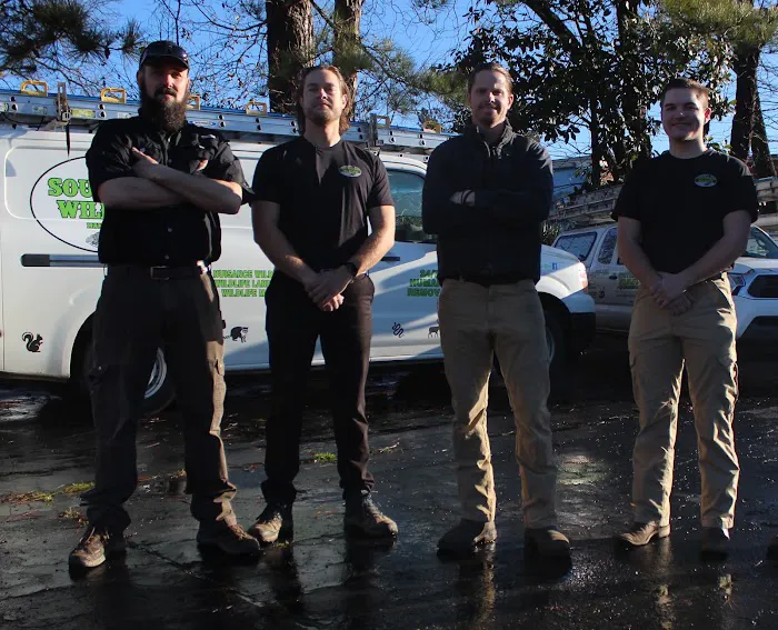 Southern Wildlife and Bat Control Picture 4