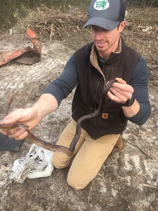 Southern Wildlife and Bat Control Picture 10
