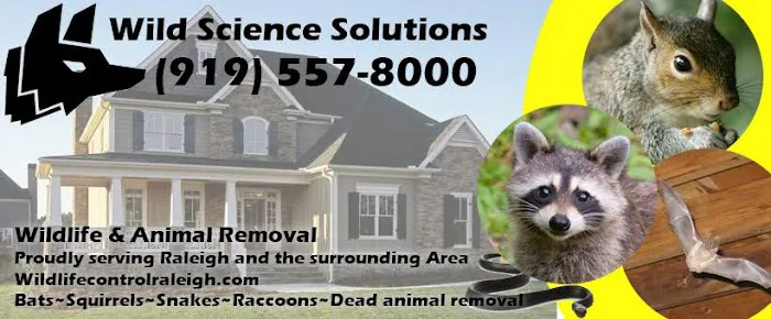 Wild Science Solutions Picture 4