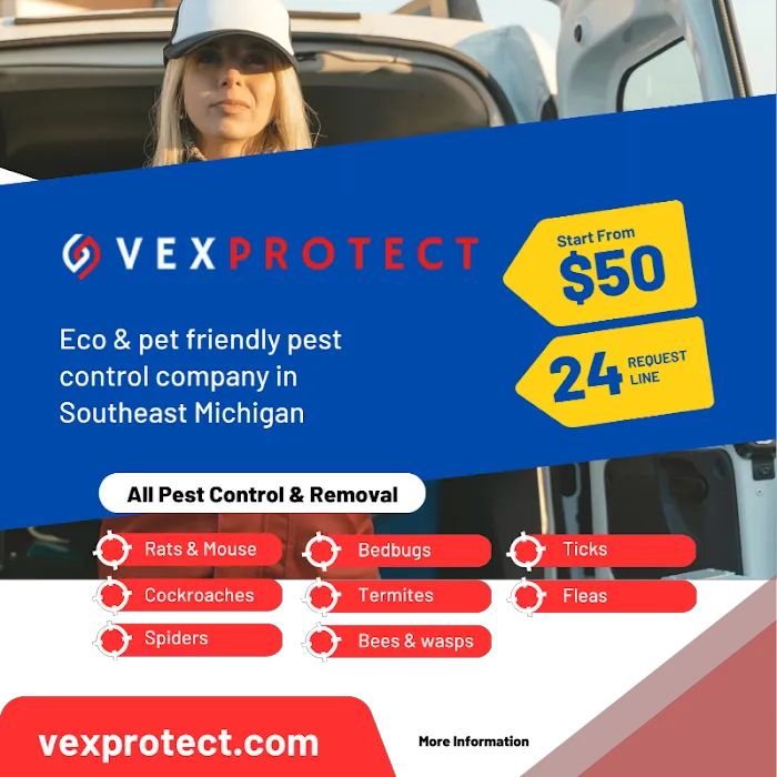 Vex Protect — Expert Pest Control Picture 3