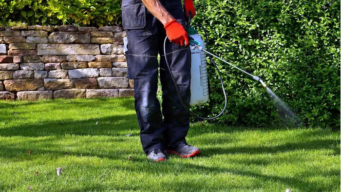 Vex Protect — Expert Pest Control Picture 10