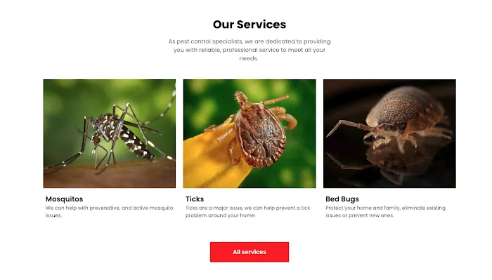 Vex Protect — Expert Pest Control Picture 5
