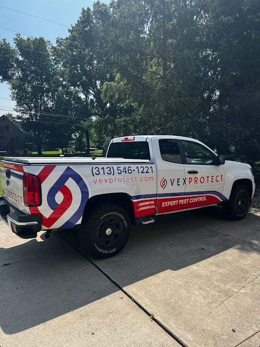 Vex Protect — Expert Pest Control Picture 2