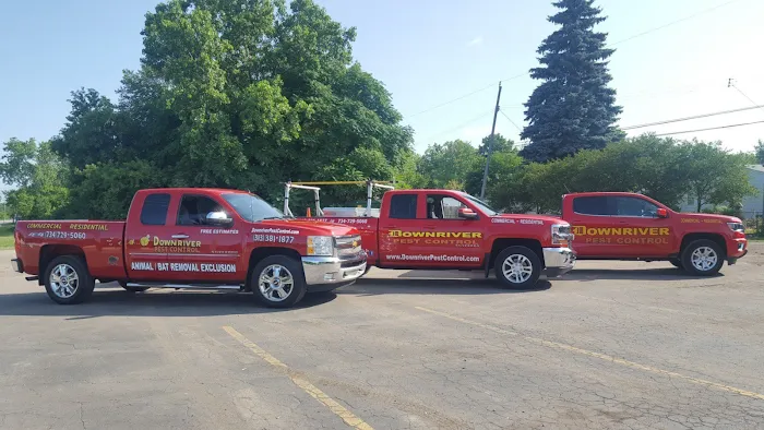Downriver Pest Control Picture 8