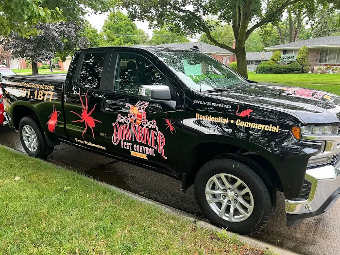 Downriver Pest Control Picture 5
