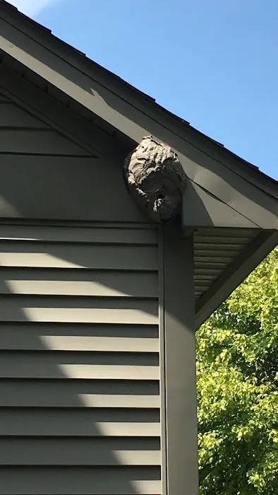 All Seasons Pest Control Inc. Picture 2