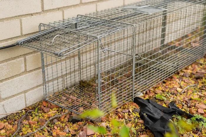 All Seasons Pest Control Inc. Picture 4