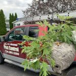 All Seasons Pest Control Inc.