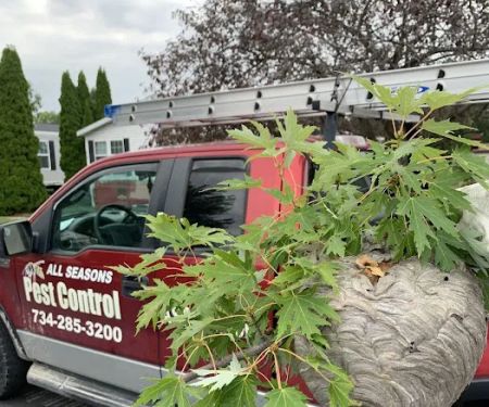 All Seasons Pest Control Inc.