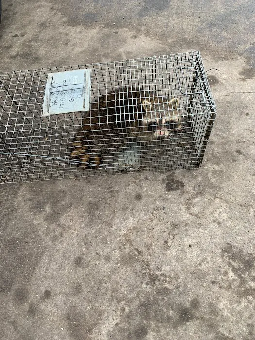 All Seasons Pest Control Inc. Picture 8