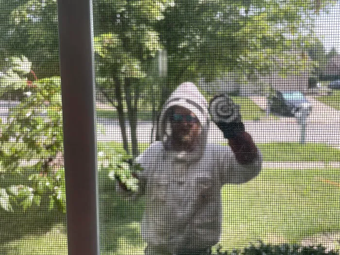 The Stinger Pest Control LLC Picture 3