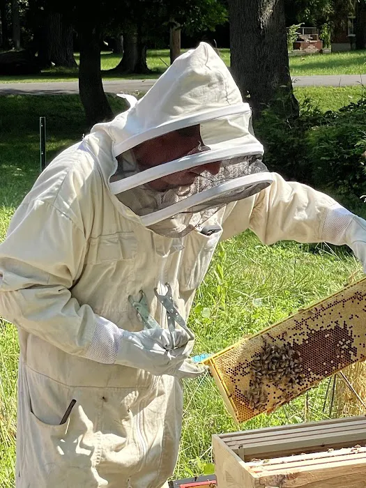 The Stinger Pest Control LLC Picture 7