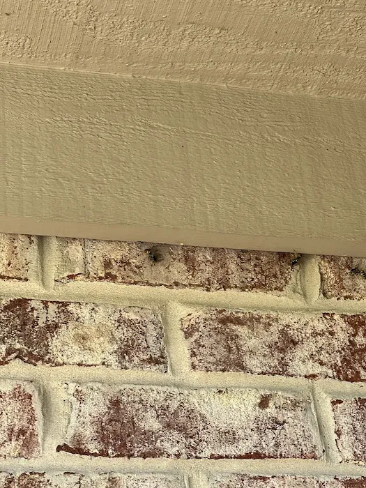 The Stinger Pest Control LLC Picture 9