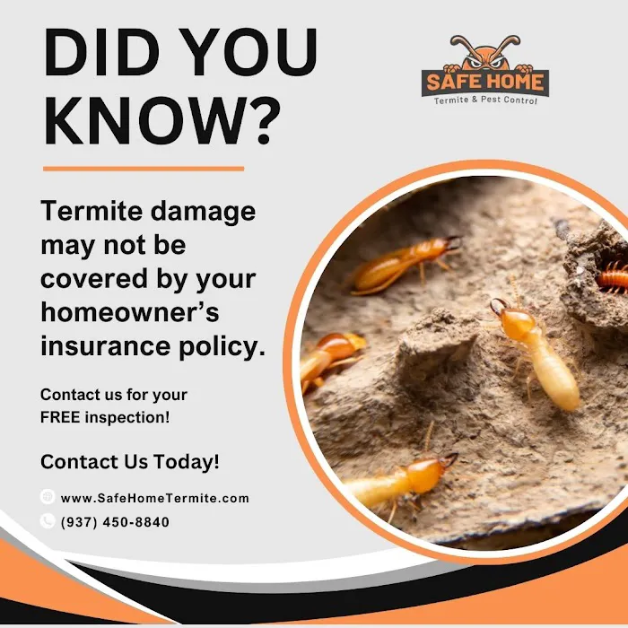 Safe Home Termite & Pest Control Picture 3