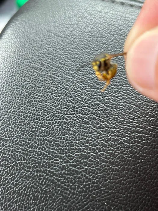Premier Pest Control llc. Picture 3