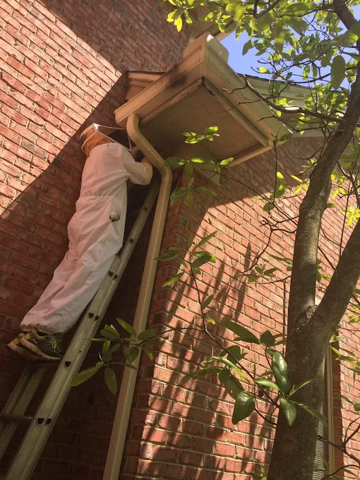 Premier Pest Control llc. Picture 8