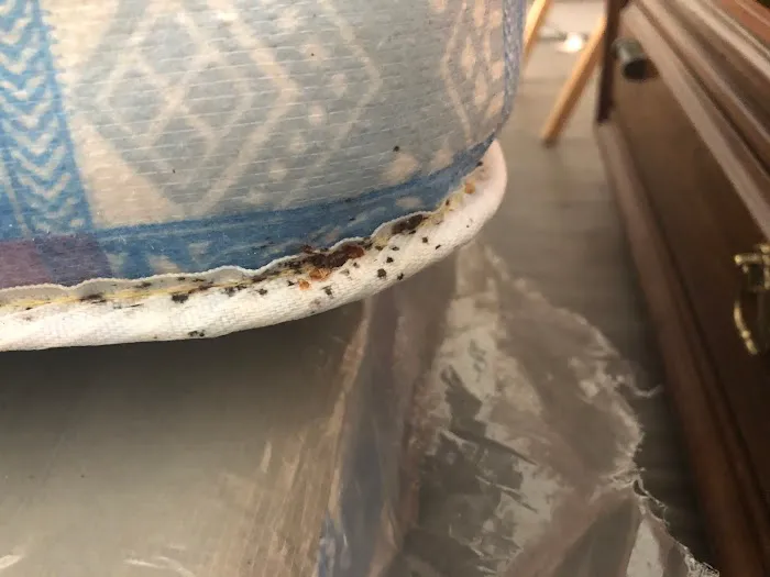 Premier Pest Control llc. Picture 4