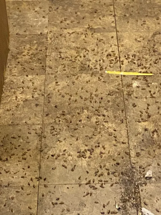 Premier Pest Control llc. Picture 2