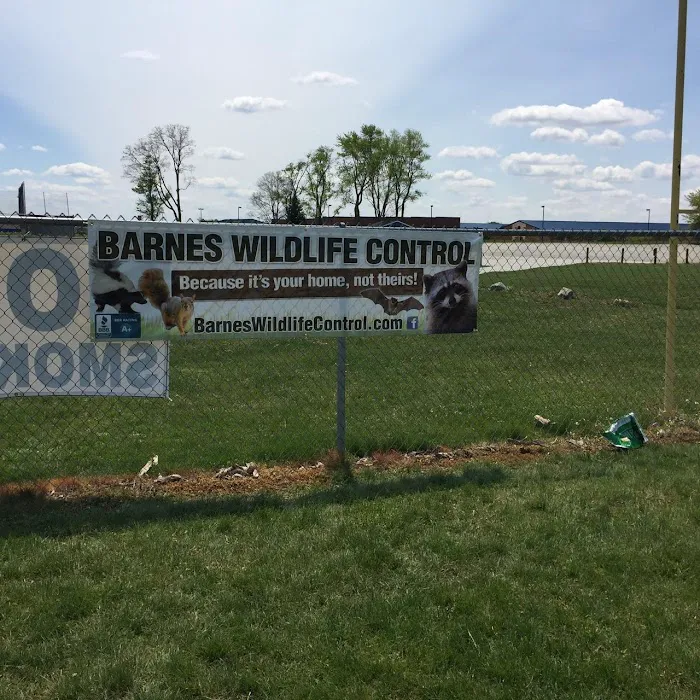 Barnes Wildlife Control Picture 3