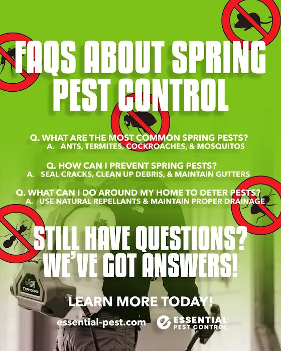 Essential Pest Control Picture 1