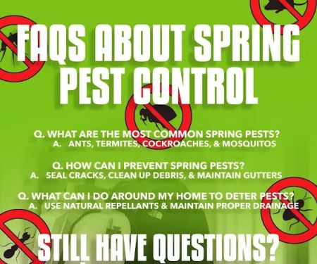 Essential Pest Control