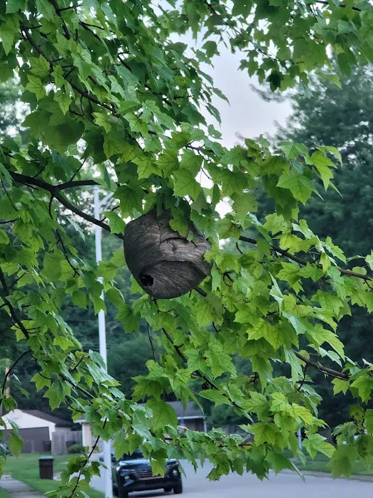 Free Bee Pest Control LLC Picture 10