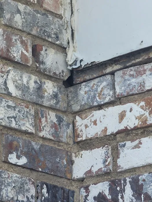 Free Bee Pest Control LLC Picture 5