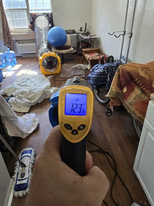 Free Bee Pest Control LLC Picture 3