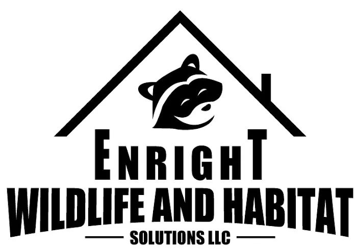 Enright Wildlife and Habitat Solutions, LLC Picture 8