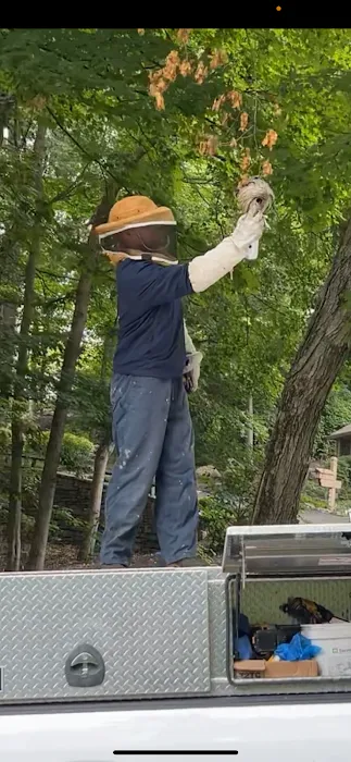 Brown Pest Control Inc Picture 4