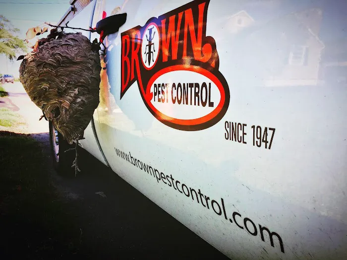 Brown Pest Control Inc Picture 8