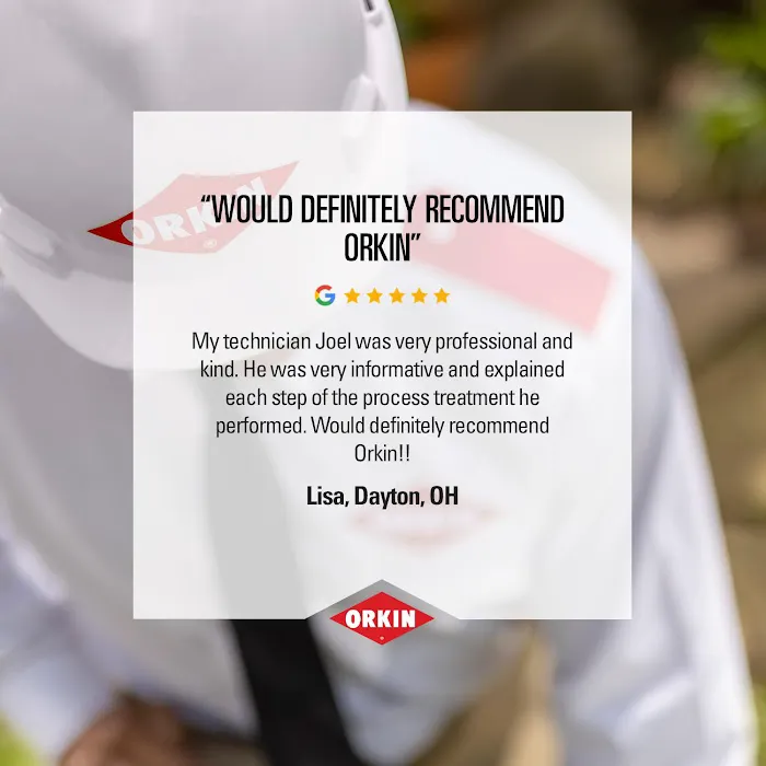 Orkin Picture 10