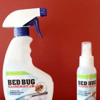 Eagle Watch Products ico