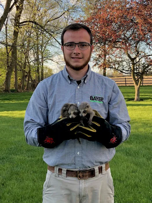 Bayer Pest Control Picture 5