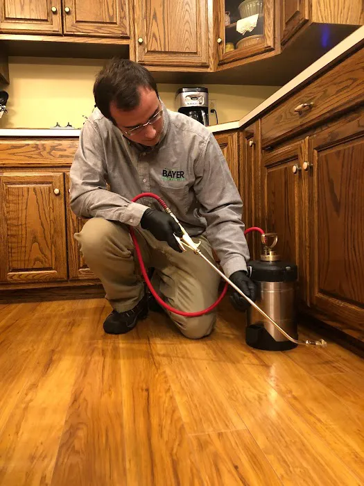 Bayer Pest Control Picture 9