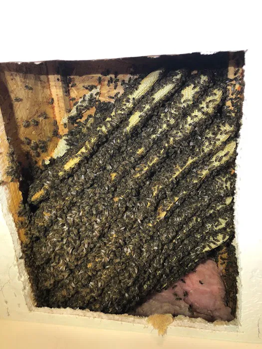 Bayer Pest Control Picture 4