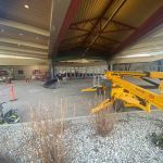 Animal Remover Dayton