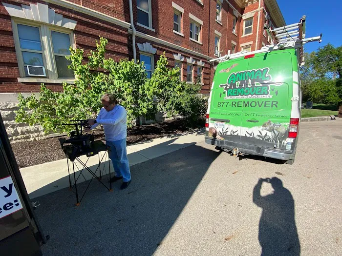 Animal Remover Dayton Picture 10