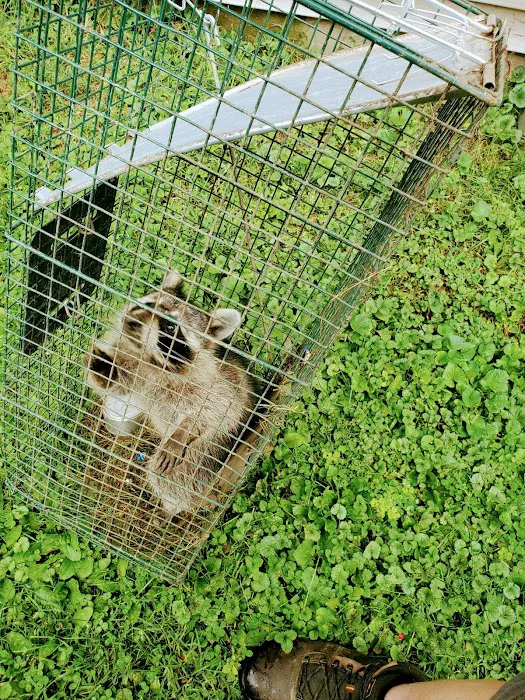 Critter Gitters Picture 10