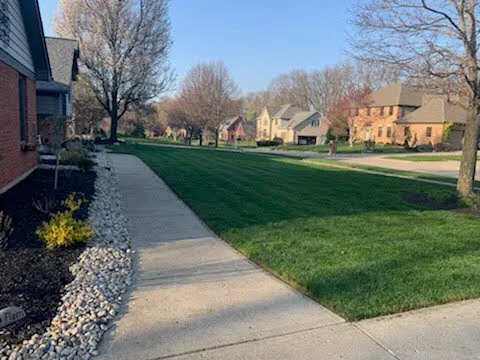 Agxact Lawn and Pest Picture 7