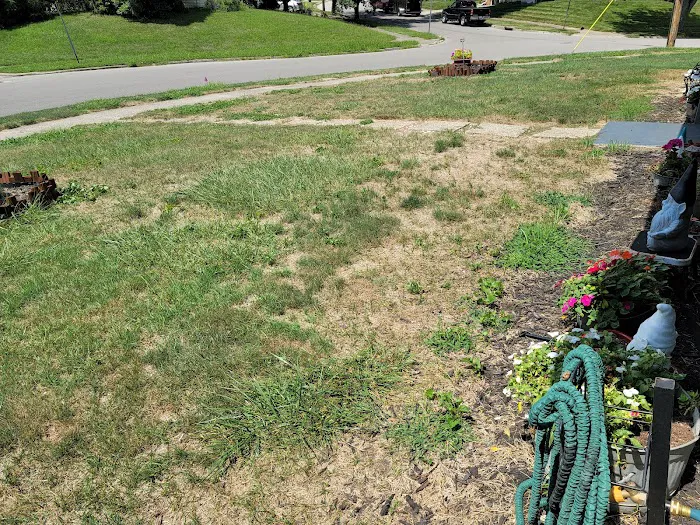 Agxact Lawn and Pest Picture 2