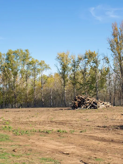 Lawn Plus LLC Picture 5