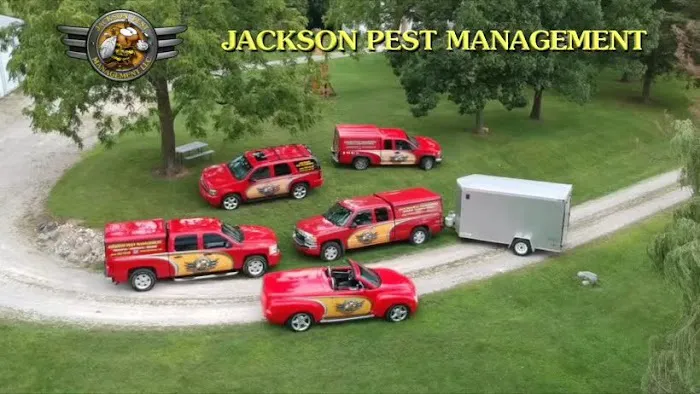 Jackson Pest Management LLC Picture 2