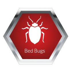 Jackson Pest Management LLC Picture 1