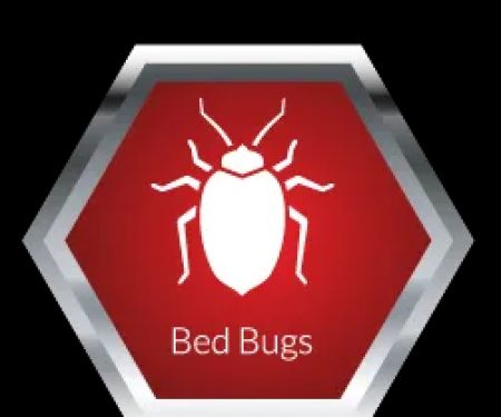 Jackson Pest Management LLC